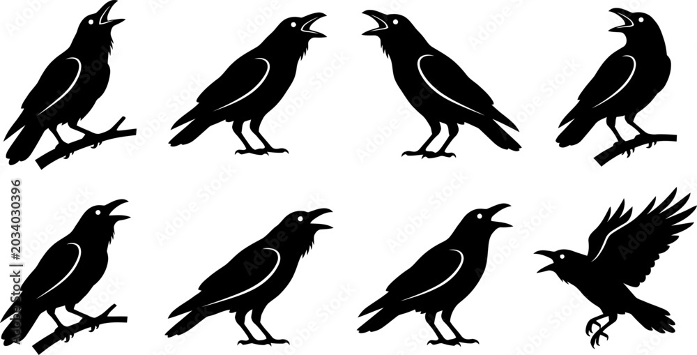 Obraz premium Set of eight crow bird silhouettes in various poses including cawing and flying isolated on a white background vector