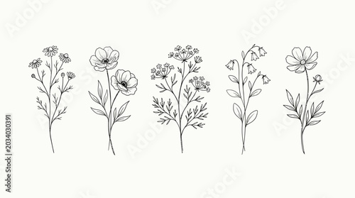 Delicate Line Art Illustrations of Various Wildflowers and Blossoms on a White Background
