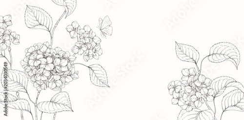 Blooming hydrangea. Spring background with flowers and brunch. Detailed botanic floral collection for Valentines day invitation, wallpaper
