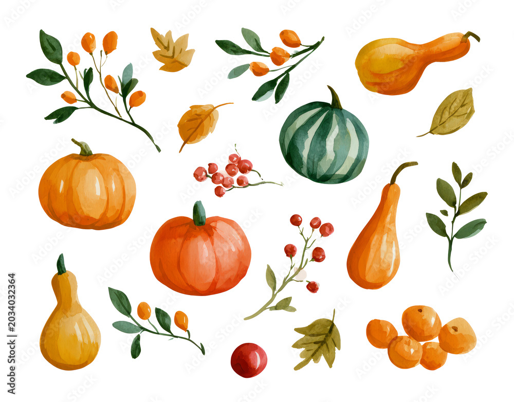 Fototapeta premium Autumn Harvest Watercolor Elements Collection