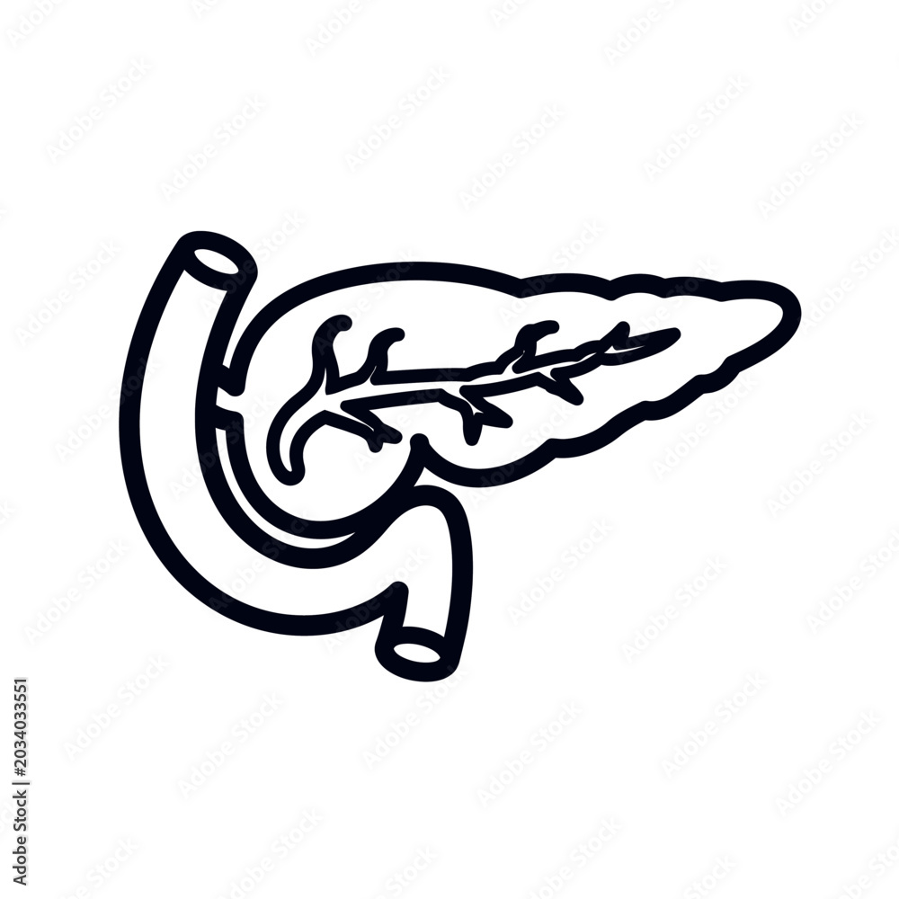 Naklejka premium Medical illustration of a human pancreas organ in outline style