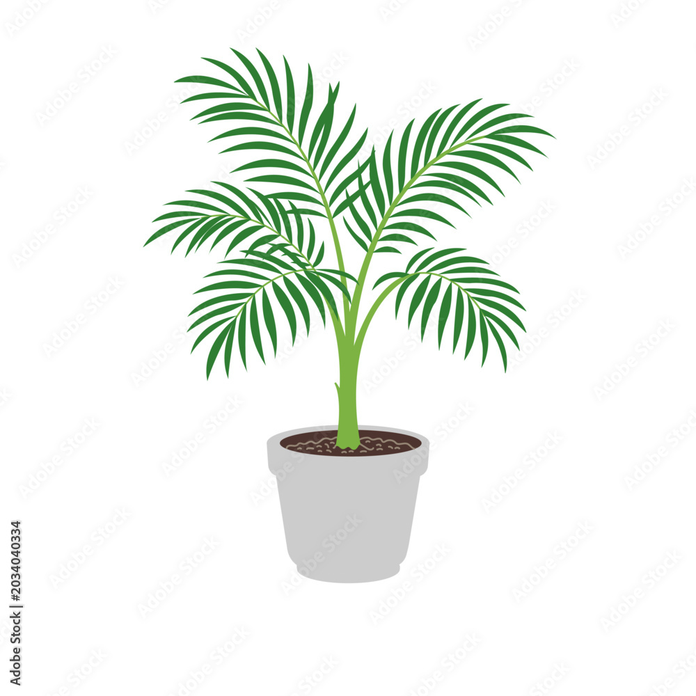 Obraz premium Potted Palm Tree Vector Illustration, Indoor Palm Tree