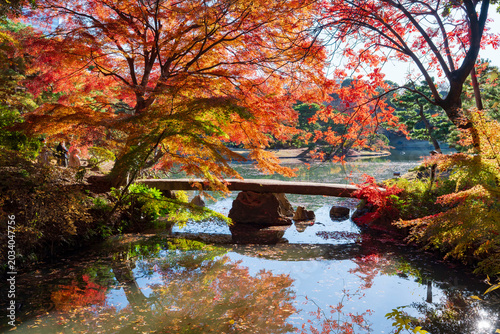 六義園 渡月橋と紅葉