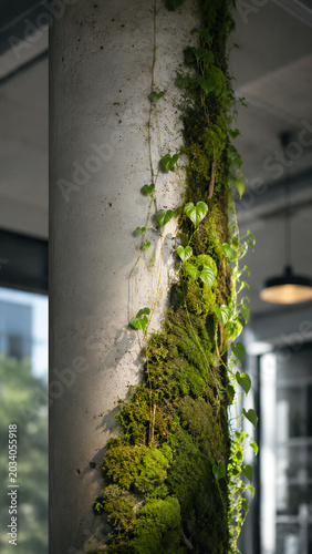 Vertical Close-Up of Biophilic Office Design with Living Moss on Concrete Pillar
