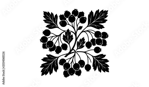 Fotografía Herbal Hawthorn Fruit Cluster Silhouette Flat Vector Illustration