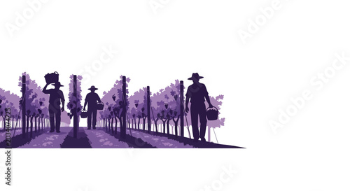Tableau sur toile Silhouette of Farmers Harvesting Grapes in Vineyard