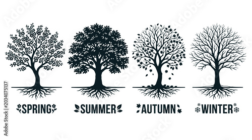 Four distinct trees showing the seasonal changes of nature in a simple black and white illustration