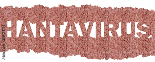 Hantavirus Typography on Distressed Pink Towel Texture Strip with Rough Fabric Grunge Effect