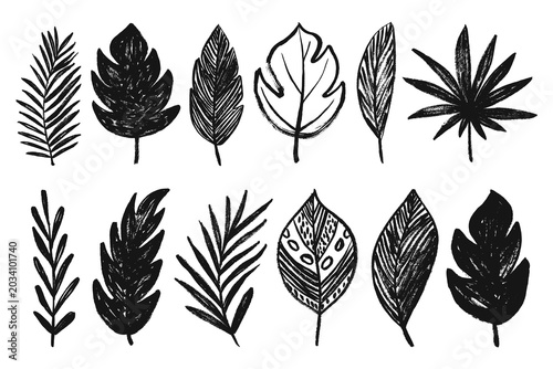 Grunge tropical leaves set. Brush stroke rough textured vector tropical leaf silhouettes, monstera, palm leaf, eucalyptus, coconut leaf.