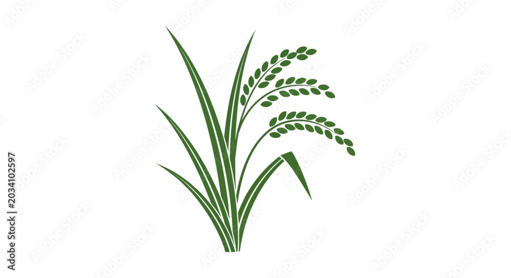 Fototapeta premium Minimalist Green Rice Plant Graphic on White Background: Food and Agricultural Concept