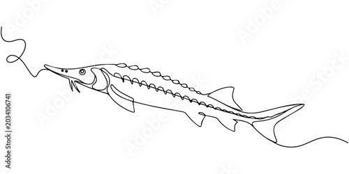 Minimalist Sturgeon Continuous Line Drawing Fish Vector Illustration, Sturgeon fish in continuous line art drawing style. Minimalist black linear sketch on white background. Vector illustration