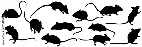 Foto Collection of black rat silhouettes in different poses isolated on white background