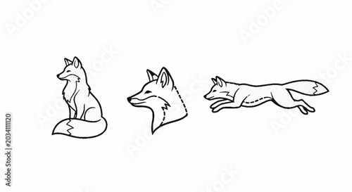 Wild fox character sketches in different poses