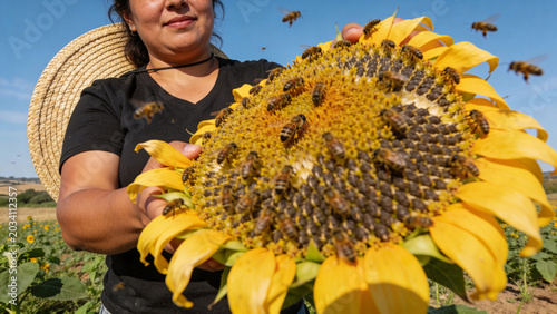 Gardener smiling holding giant sunflower covered in bees outdoors

