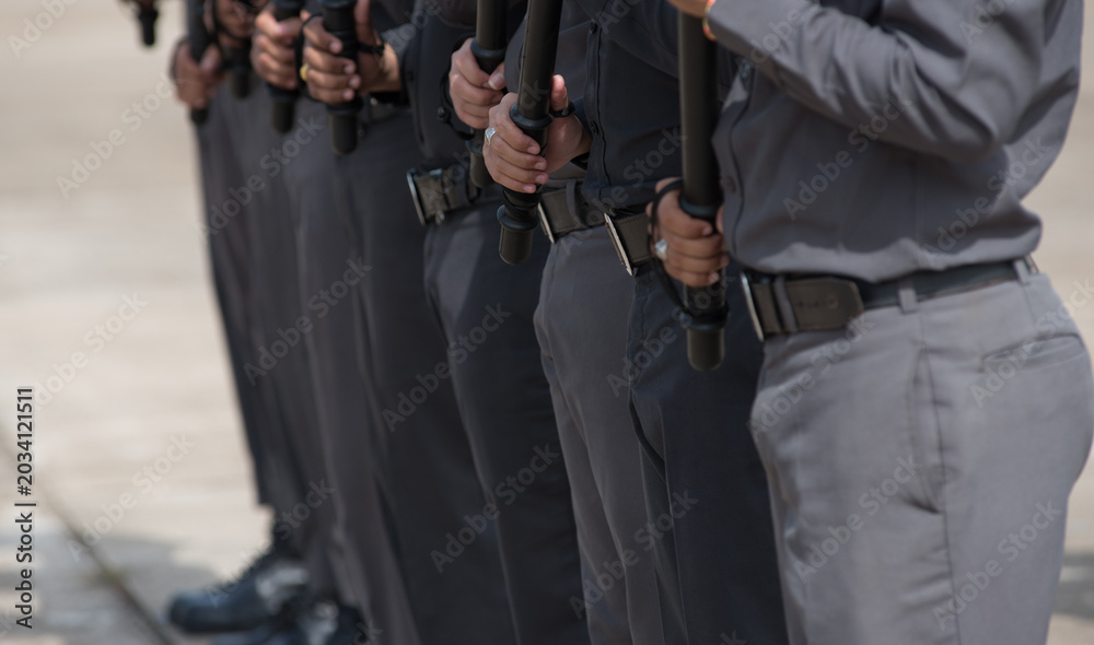 Obraz premium Riot police control the crowd training