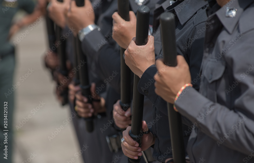 Fototapeta premium Riot police control the crowd training