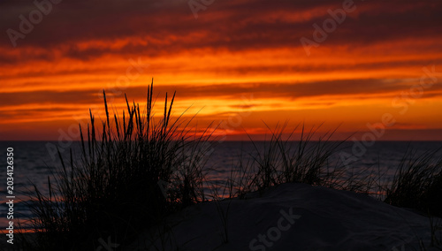 Beautiful Sunset Sky with Silhouette Grass – Golden Orange Red Horizon Nature Landscape Photography