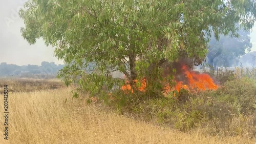 Fuego sin control en zona forestal 