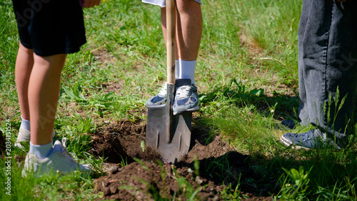 Legs of young people standing around a freshly dug dirt hole. Outdoor summer activity for eco gardening, volunteering, or recreational treasure hunting. Photo