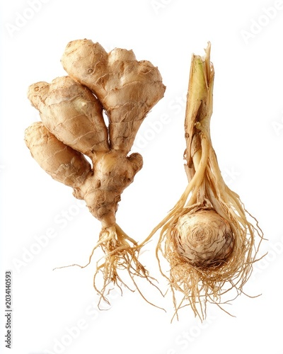 Two pieces of fresh root ginger against a white backdrop