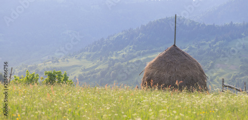 Fényképezés Carpathian mountains summer landscape with a wild-grass-green hill and a haystack on it