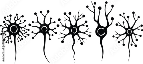 Bild auf Leinwand Neuron cells illustration black and white biological diagram set