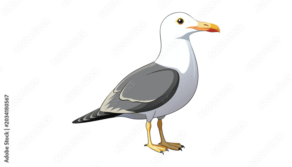Obraz premium seagull bird clipart vector illustration