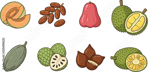 Bild auf Leinwand Tropical Fruit Vector Illustration Set Featuring Cantaloupe, Dates, Wax Apple, S