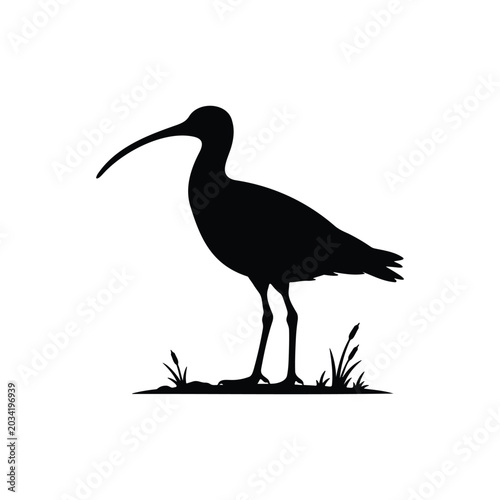 Curlew bird silhouette icon vector flat design.