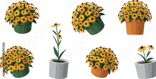 Quadro su tela Potted Rudbeckia Black Eyed Susan Flower Vector Set with Blooming Yellow Daisies
