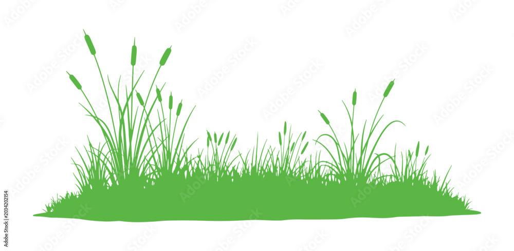 Fototapeta premium Meadow grass silhouette set with dry and fresh plant textures.