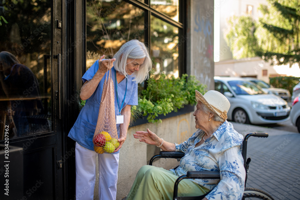 Εκτύπωση καμβά Home caregiver assisting older woman during grocery run