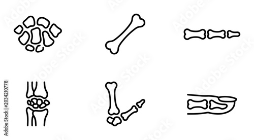 Foto Human Hand and Foot Bone Anatomy Icons, Medical Science Vector Set