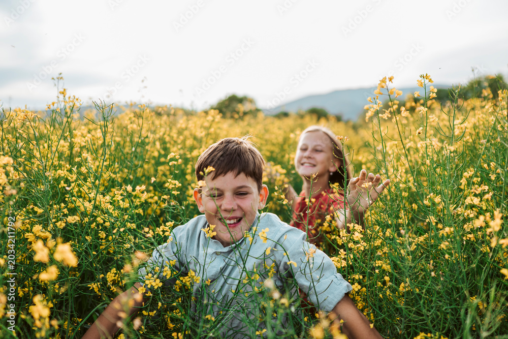 Obraz premium Siblings running through blooming field and enjoying carefree childhood.