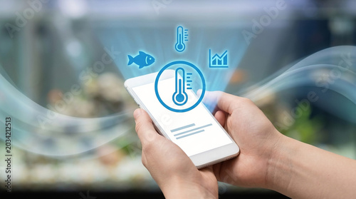 Smart aquarium monitoring with a mobile app displaying temperature, fish health, and growth data
