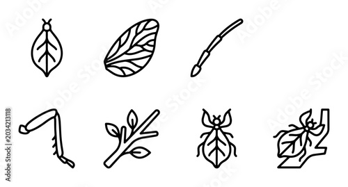 Bild auf Leinwand Insect Anatomy Icons: Wing, Leg, Antennae, Body Parts, Vector Graphics for Natur