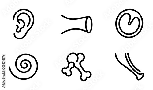 Obraz na płótnie Human Ear Anatomy Icons, Auditory System Vector Set, Medical Science Symbols