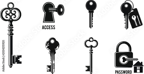 Obraz na płótnie Various keys and locks with access and password, black and white
