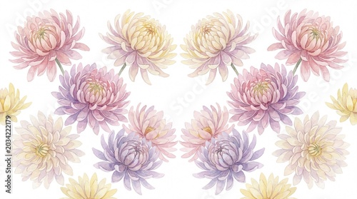 Beautiful delicate chrysanthemum flowers in pastel pink and yellow hues, arranged symmetrically, evoking a sense of calm and elegance