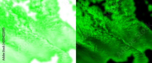 Foto Fluorescent green microscopic biological tissue, medical imaging of cellular str