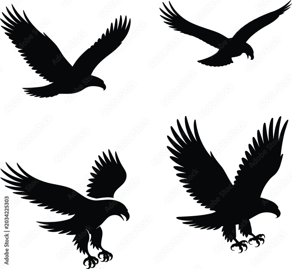 Fototapeta premium Flying eagle silhouette collection with soaring and landing poses isolated black wildlife bird vector illustration set