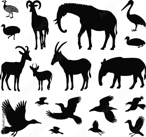 фотографія Wild animal and bird silhouette collection featuring elephant antelope tapir and