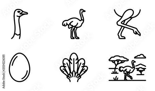 Photography Ostrich Icons Set, Bird Graphics, Wildlife Vector Collection, Safari Scene