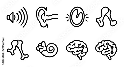 Photos Medical Anatomy Icons: Ear, Brain, Bones, Cochlea, Sound Waves, Medical Science