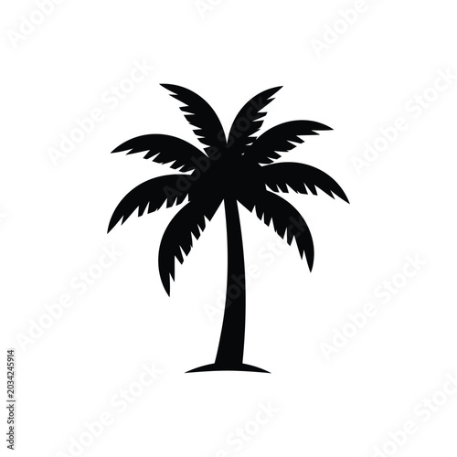 Black Silhouette of a Tropical Palm Tree Isolated on a White Background for Summer