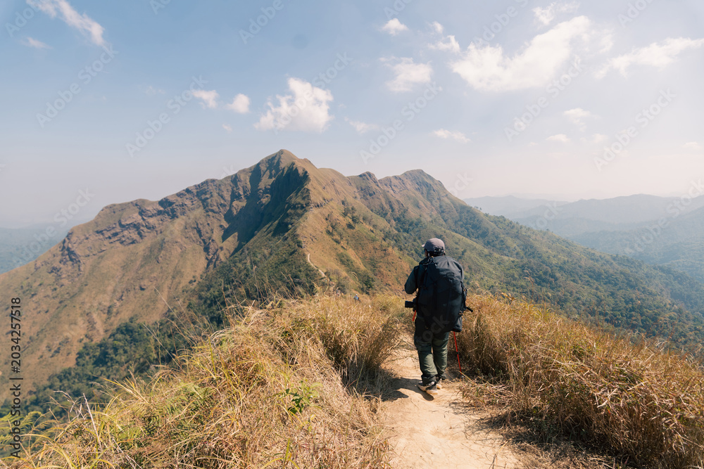 Obraz premium Back view of male hiker with large backpack and trekking pole standing on mountain trail. Adventure traveler looking at misty valley. Trekking, hiking and outdoor lifestyle concept