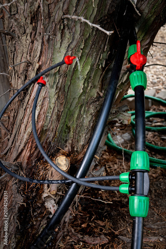 Irrigation pipe set up for drip irrigation