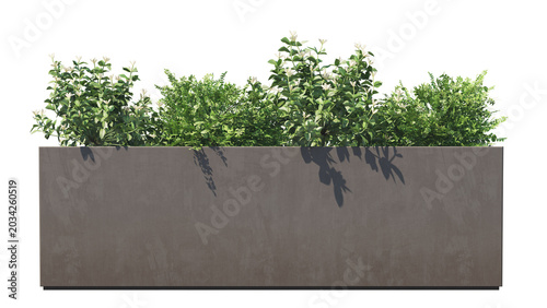 green grass in planter on a  transparency background