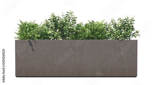 green grass in planter on a  transparency background