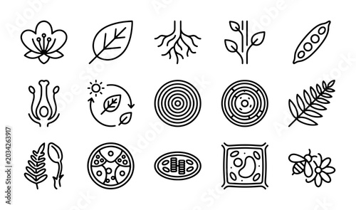 Tableau sur toile Botanical Icons Set: Plant Biology, Flower, Leaf, Root, Cell Structure, Photosyn